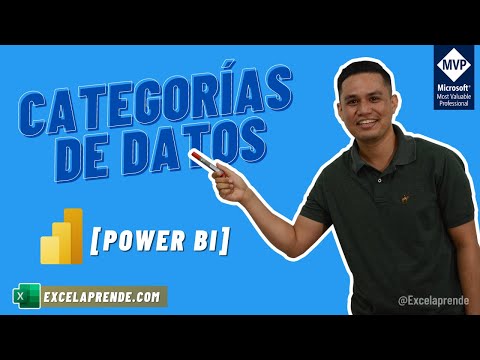 Video: ¿Cómo se llama una categoría de datos?