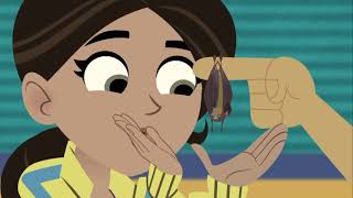 Wild Kratts S01EP36 A Bat in the Brownies
When a little brown bat crash-lands into a plate of Jimmy Zs brownies, Martin and Chris must convince everyone else that bats are nothing to be afraid of. Wild Kratts S01EP36 A Bat in the Brownies