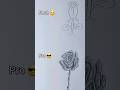 Drawing a rose⚘️✨️