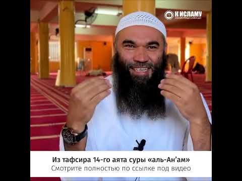 Окрашена ли скамейка или почему мы верим в гипотезы #shorts Ринат Абу Мухаммад