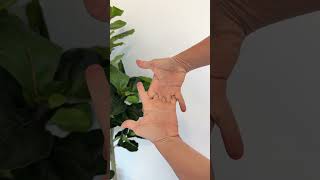 Why you need to open and close your hands daily #HandHealth #Stiffness