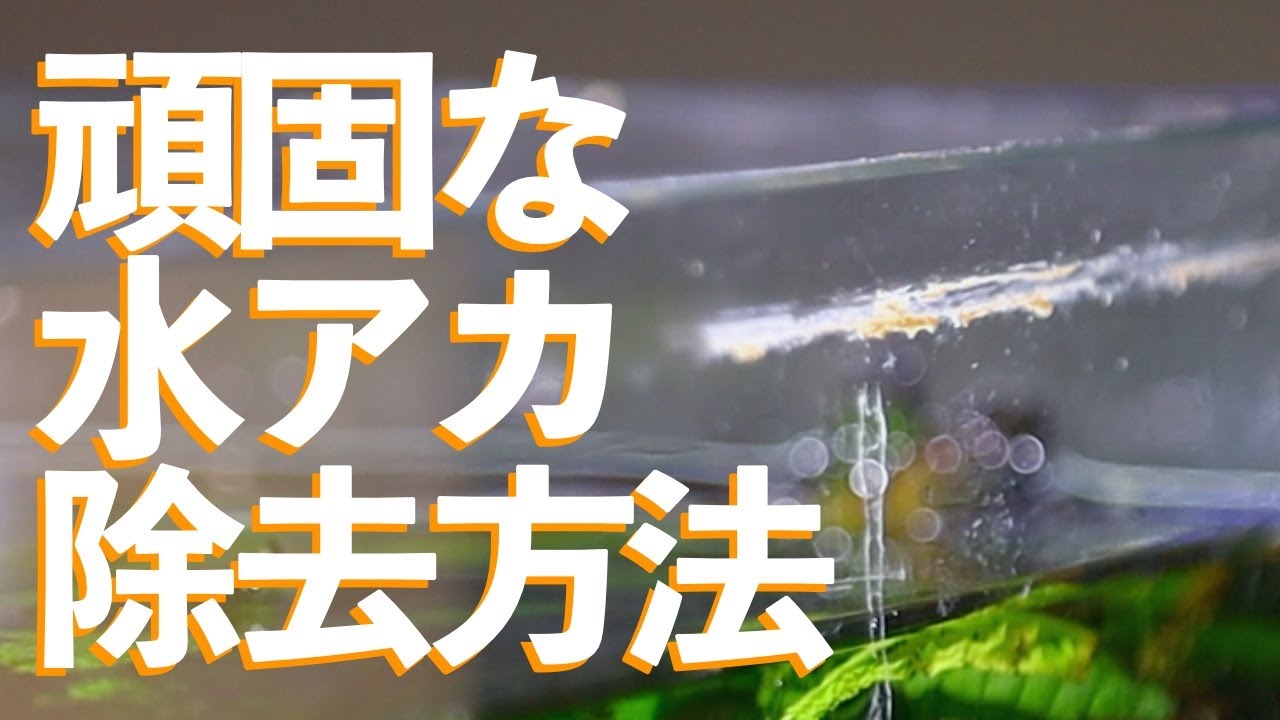 頑固な『水アカ』を除去して落とすには 両刃カミソリが効果的
