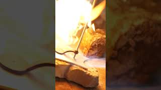 Meistrų taurė ASMR versija