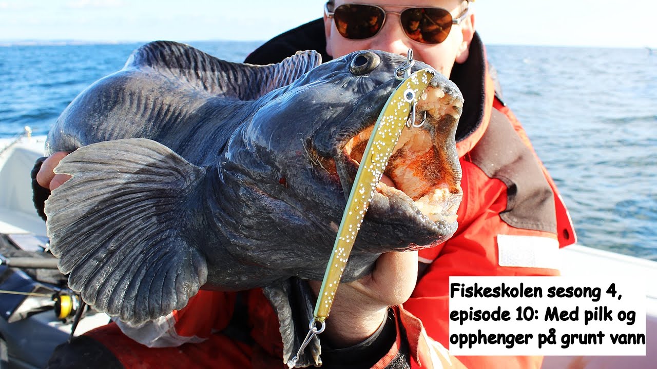 Fiskeskolen sesong 4 , episode 10: Med pilk og opphenger på grunt vann