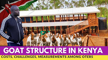 How To Build a Modern Raised Goat Structure In Kenya 2024