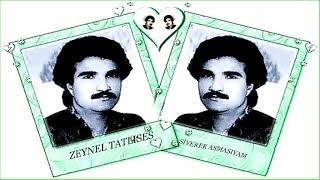Zeynel Tatlıses / Siverek Asmasıyam (2)