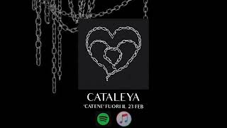 Cataleya - Catene Lyric Video