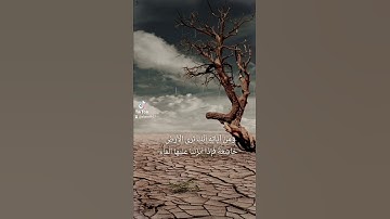 ترى الأرض خاشعة  تلاوة الشيخ عبدالله بصفر #quran
