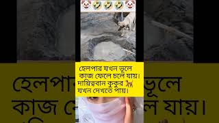 মালিকের দায়িত্ববান কুকুর 🐕। #foryou #viral #viralvideo#tending