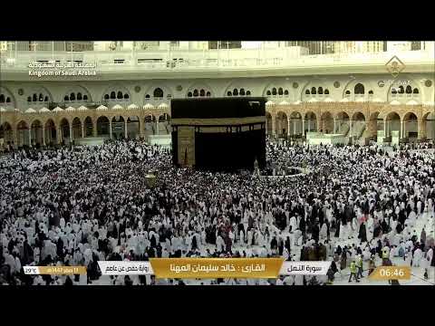    بث مباشر قناة القرآن الكريم   
