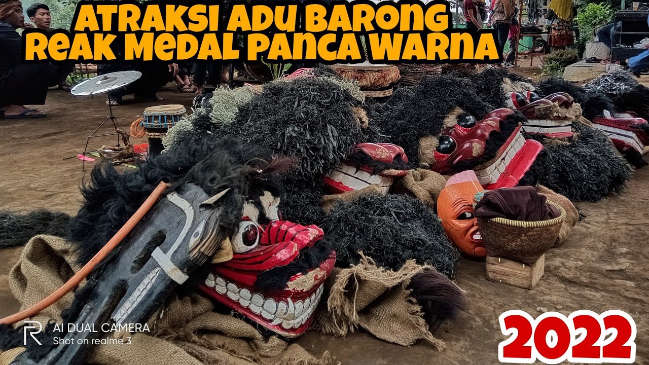 ATRAKSI ADU BARONG REAK MEDAL PANCA WARNA TERBARU 2022 || Live Lamajang