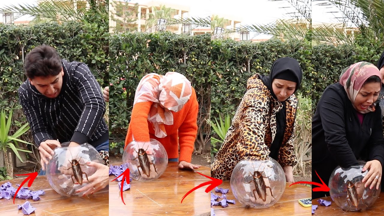 اخر شخص يشيل يده من كاس الصراصير 🪳هيكسب ال10000 جنية والعقاب في الحرباية
