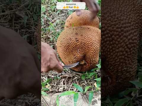 looks this jackfruit shape so awesome🔪✂️😁 #shorts #youtubeshorts #trending #jackfruit