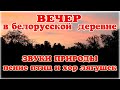 Звуки природы в белорусской деревне, пение птиц, пение лягушек