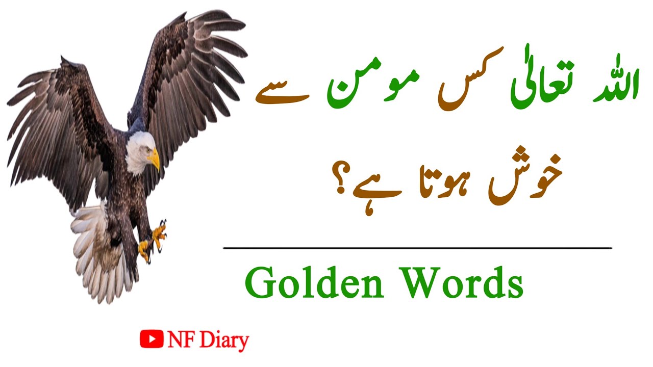 Allah Kis Momin Se Khush Hota Hai? Golden Words In Urdu Golden