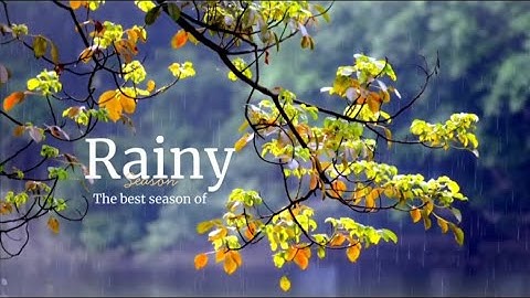 Why Rain Is Life: The Hidden Power Behind Every Drop.