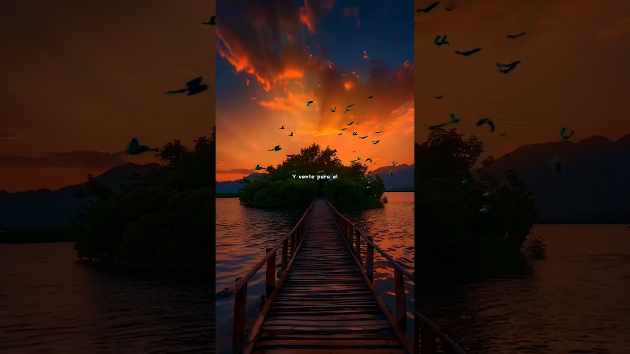 Hotel Room - Flvckka | "Forget about your boyfriend" | Lyrics | aesthetic | Whatsapp status| 