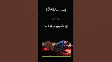 القرآن الكريم _أجر لي ولكم _أرح سمعك وقلبك _أكتب شيء تؤجر عليه #سورة البقرة #🦋❤🤍🌿