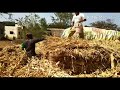 Stocking Dry fodder (Jawari Kadba) for monsoon