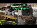 MONSTER Brown Trout in February | Contest Details