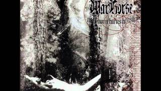 Warhorse ~ Dawn