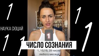 Число Сознания 1. Наука Сюцай. Все Кто Родились 1, 10, 19, 28 Любого Месяца