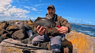 How-To dig SANDSHRIMP for BIG Perch and Rockfish & @Piscifun Giveaway