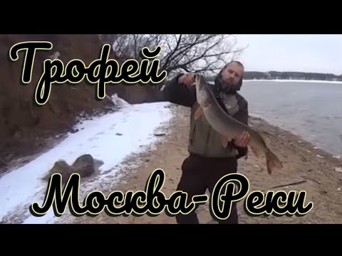 рыбалка в чулково летом