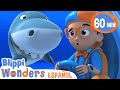 La boca de tiburón | Caricaturas infantiles | Moonbug en Español  - Blippi Wonders