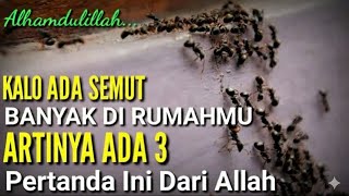 OH MY GOD!! IF THERE ARE A LOT OF ANTs IN YOUR HOUSE, THERE ARE 3 SIGNS FROM ALLAH, DON'T KILL TH...