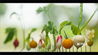 FWx Exclusive: Dan Barber on Chef's Table | Food & Wine