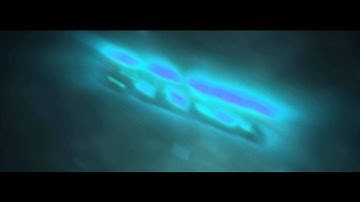 Bulkos INTRO #92 CollexFX ( 60 FPS )