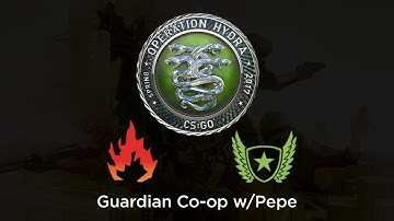 Guardian Missions (Operation Hydra)