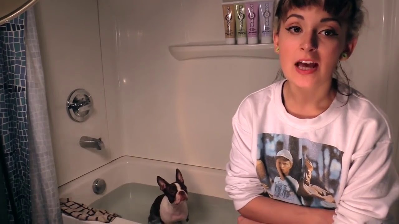 Choosing The Best Dog Shampoo YouTube