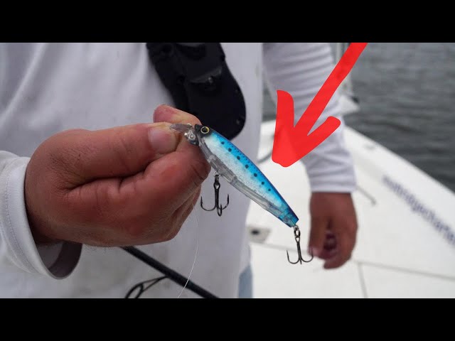 best lures for fish sound in north carolina sound Speckled Trout Fishing the Pamlico Sound in North Carolina