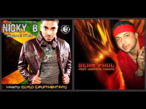 Nicky B Ft.Sean Paul-If It Isn't Love (Remix)