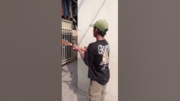 Thumbnail of #shortvideos #viralvideo #ukulele #public #fypviral #music