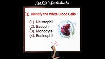 Lab Technician Questions ⚕️ MLT MCQ 🧫 MLT Pathshala ❣️ Hematology MCQ