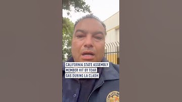 California State Assembly member hit by tear gas during LA clash