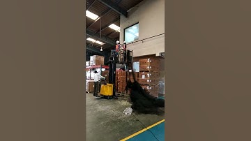 Industrial Bird Netting