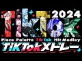 【新人歌い手グループ】TikTok2024歌ってみたメドレー【ピスパレ】【空前絶後の最強クオリティで歌ってみた】