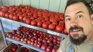 Harvesting Maters In Appalachia / Fun Fact Friday