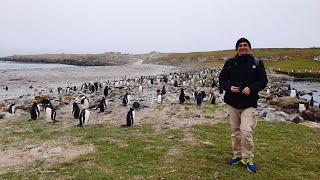 Celebrity Eclipse Antarctica Cruise day 10: Falkland Islands (Islas Malvinas)