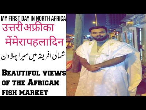उत्तरी अफ्रीका में मेरा पहला दिन || My First day in North Africa || Beautiful African fish market ||