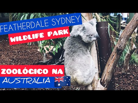 Vídeo: Visitando o Featherdale Wildlife Park