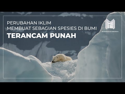 Video: 10 Spesies Untuk Dilihat Di Hawaii Sebelum Perubahan Iklim Menghilangkannya Selamanya