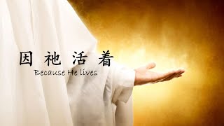 TS 诗歌 - 因他活着