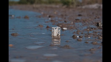 Seed darts deployed by drones