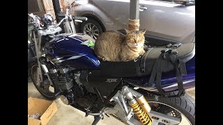 【XJR400R】ノリと勢いでタイヤ交換してみた【雑音多め】