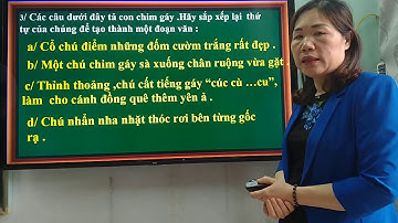 Trường th hoàn sơn